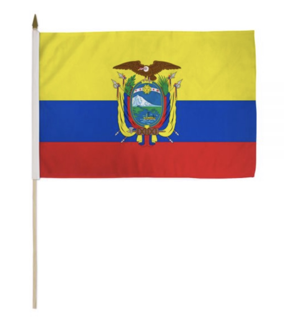 24*18 Bandera De Palo<br/>Quantity Available:20 dz 